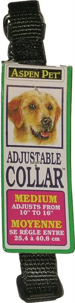 10in Nylon Blk Adj Collar
