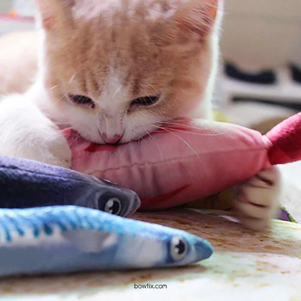 Bowtix Fish Market Catnip-Filled Cat Toy