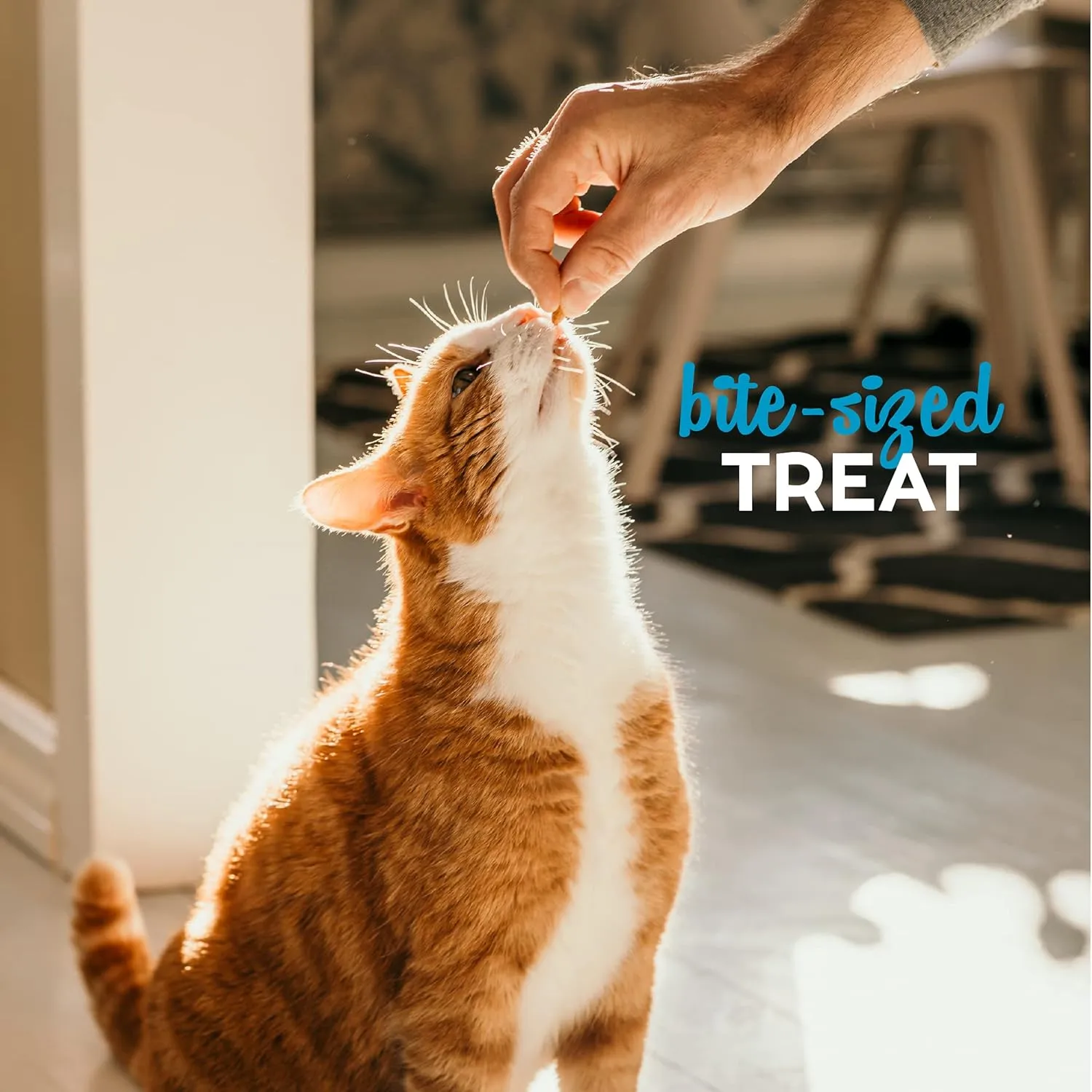 Buddy Biscuits Soft & Chewy Grain Free Tempting Tuna Cat Treats (3 oz)