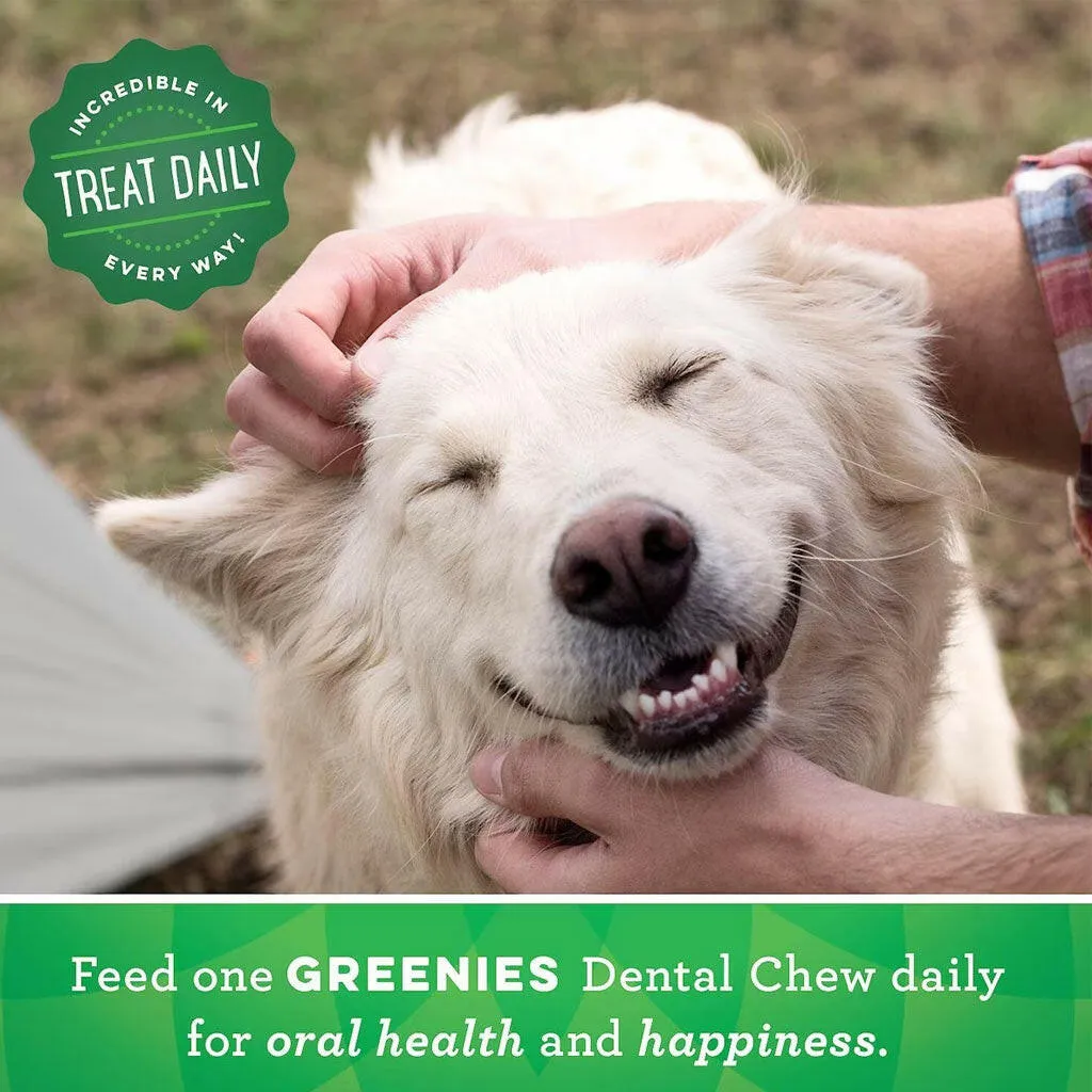 GREENIES Fresh Mint Large Dental Treats, 8 count