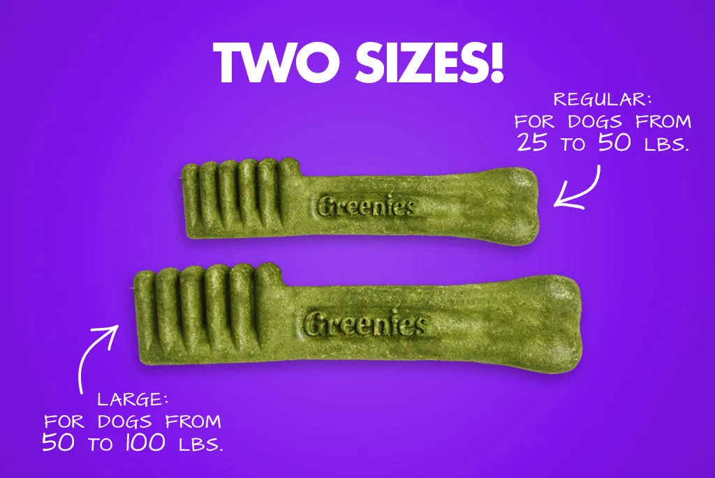 Greenies Freshmint Regular I Dental Dog Treats