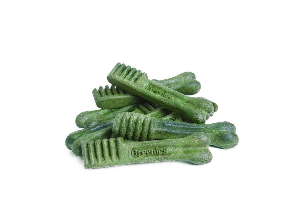 Greenies Freshmint Regular I Dental Dog Treats