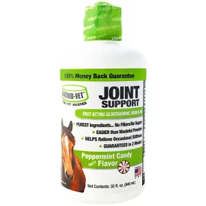 Liquid Vet Cool Horse - Joint Care - Peppermint Candy Flavor 32 oz