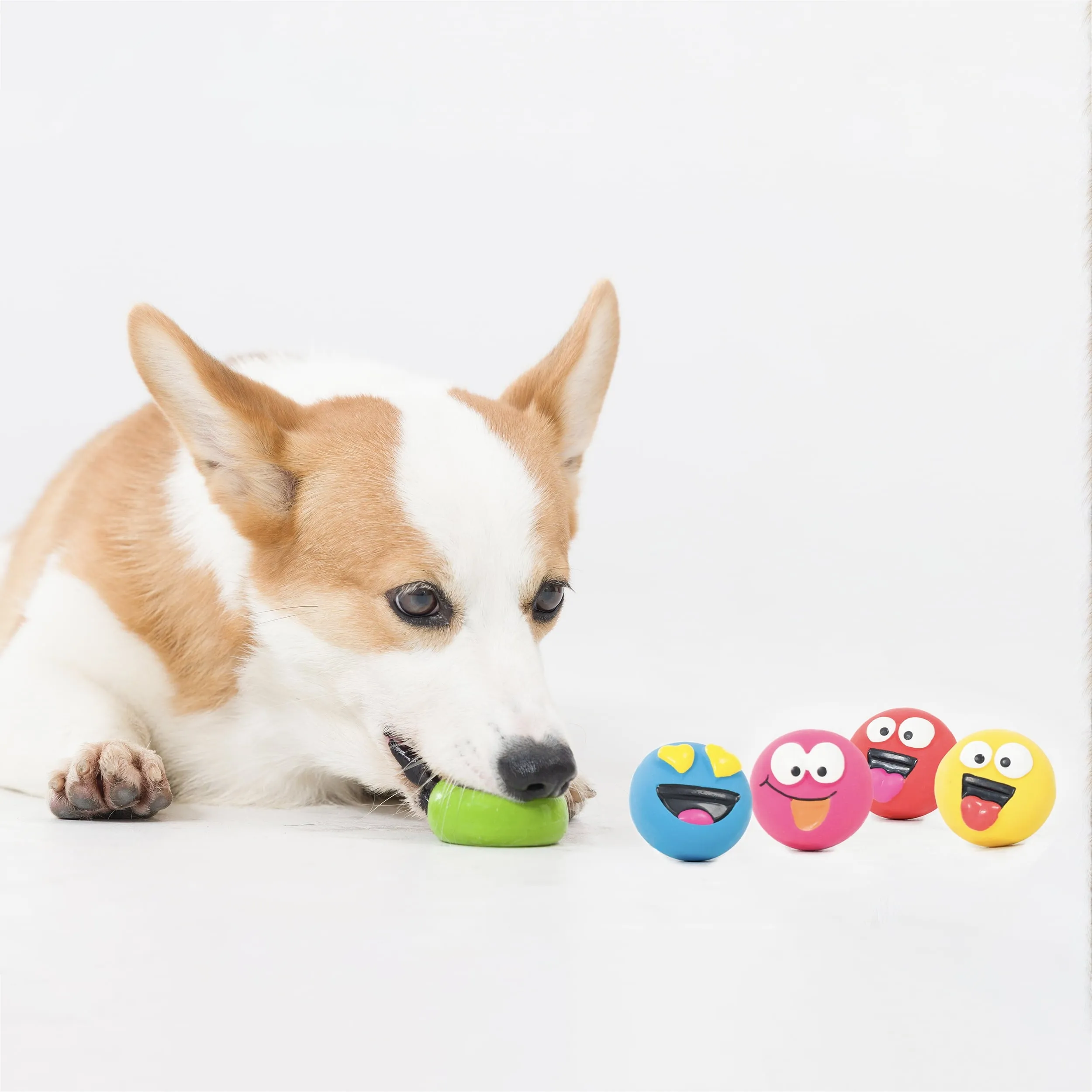 Playful Buddy Dog Toys, Emoticon, Extra Small, 5 Count Free Shipping