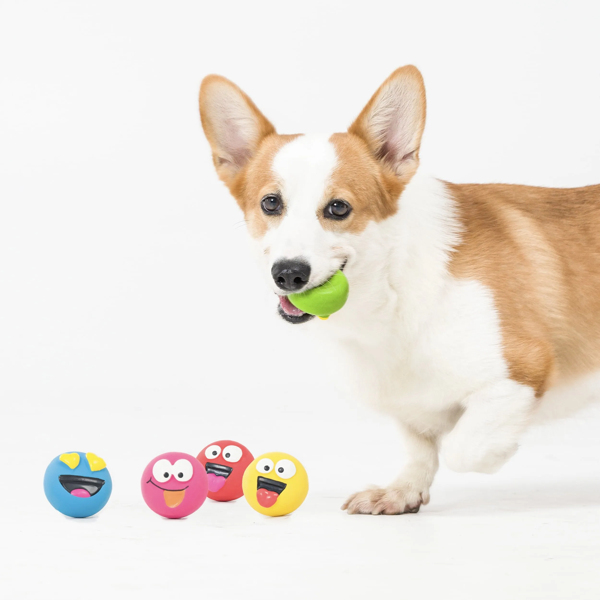 Playful Buddy Dog Toys, Emoticon, Extra Small, 5 Count Free Shipping