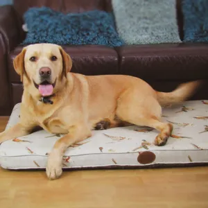 Snug & Cosy Deluxe Pheasant Memory Foam Lounger