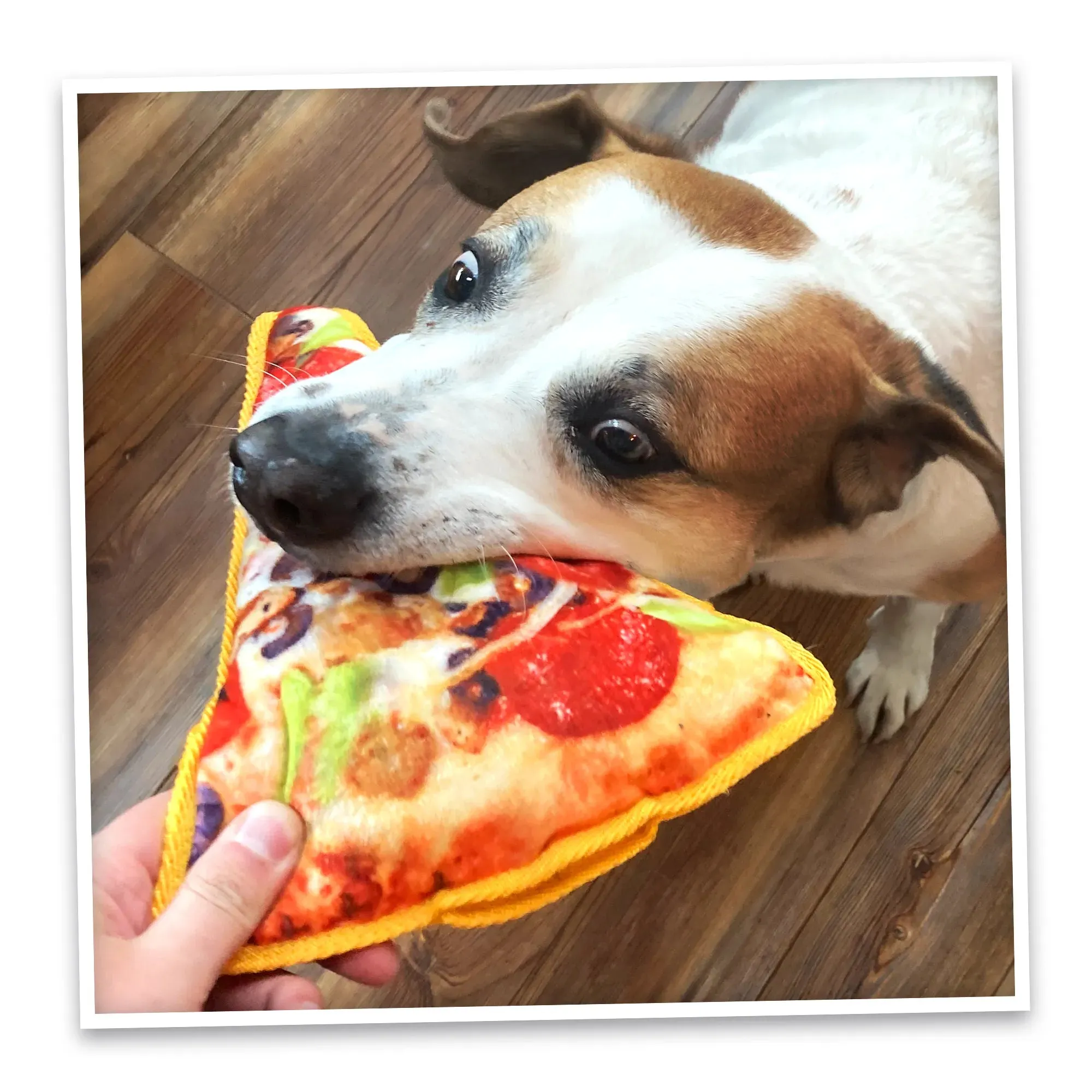 Tuffer Chewer Doggi Duo Bundle - Supreme Pizza