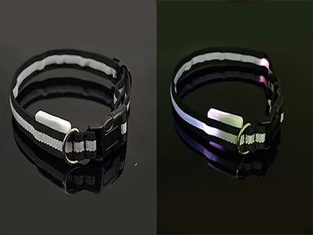 USPS Shipping 8 Color S M L Size Glow LED Dog Pet Cat Flashing Light Up Nylon Collar Night Safety Collars Supplies Dropship