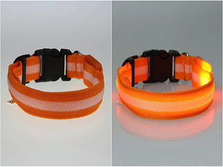 USPS Shipping 8 Color S M L Size Glow LED Dog Pet Cat Flashing Light Up Nylon Collar Night Safety Collars Supplies Dropship