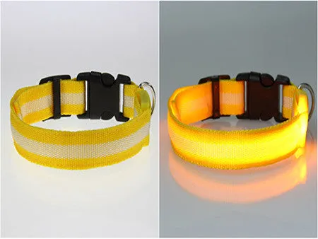 USPS Shipping 8 Color S M L Size Glow LED Dog Pet Cat Flashing Light Up Nylon Collar Night Safety Collars Supplies Dropship