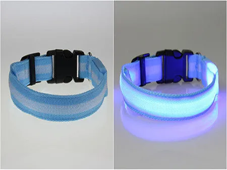 USPS Shipping 8 Color S M L Size Glow LED Dog Pet Cat Flashing Light Up Nylon Collar Night Safety Collars Supplies Dropship