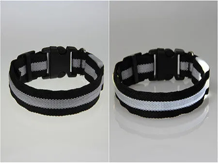 USPS Shipping 8 Color S M L Size Glow LED Dog Pet Cat Flashing Light Up Nylon Collar Night Safety Collars Supplies Dropship