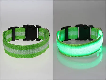 USPS Shipping 8 Color S M L Size Glow LED Dog Pet Cat Flashing Light Up Nylon Collar Night Safety Collars Supplies Dropship